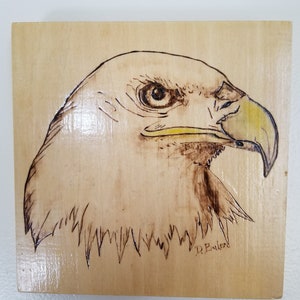 May include: Wood burned artwork of a bald eagle's head with a yellow beak and brown feathers. The artwork is signed "D.B. Baker" in the bottom right corner.