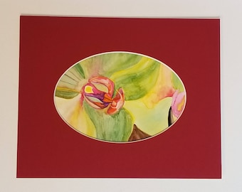 Colorful Orchid