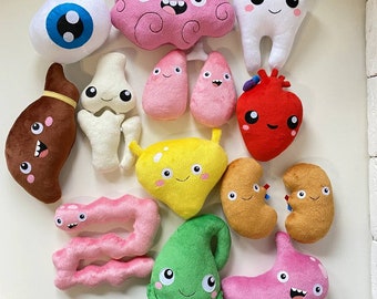 Internal organs, human organs, Organs, liver, kidneys, gallbladder, heart, eye, stomach, glands, tonsil, plush tonsil, plush internal organs