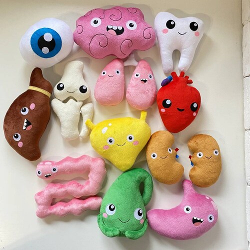 gallbladder stuffed toy