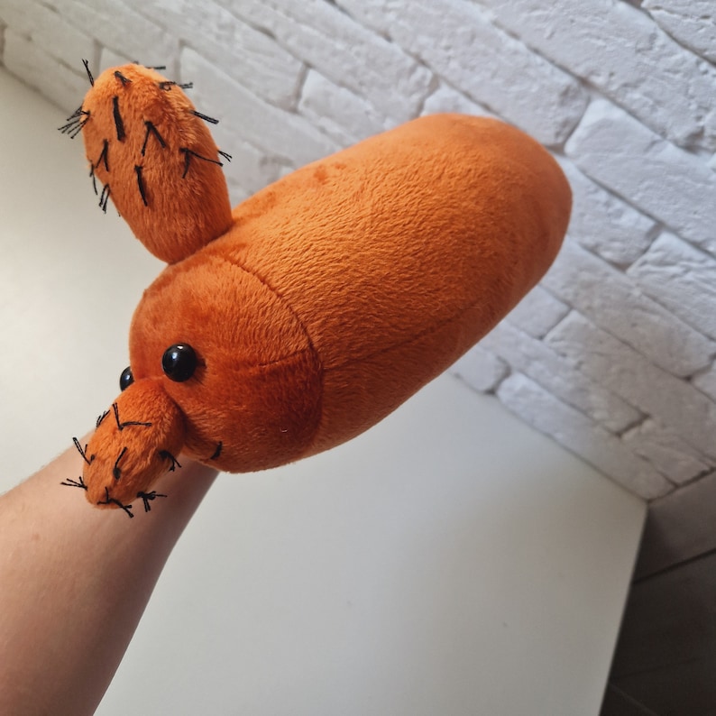 May include: A plush orange cactus toy with black stitching and a small black eye. The cactus is being held by a hand.