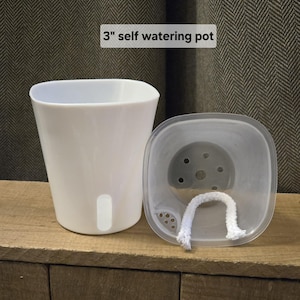 May include: A white 3" self watering pot consisting of an opaque outer container and a translucent inner liner with a white cotton wick threaded through the base. The text 3" self watering pot is visible above the two components.
