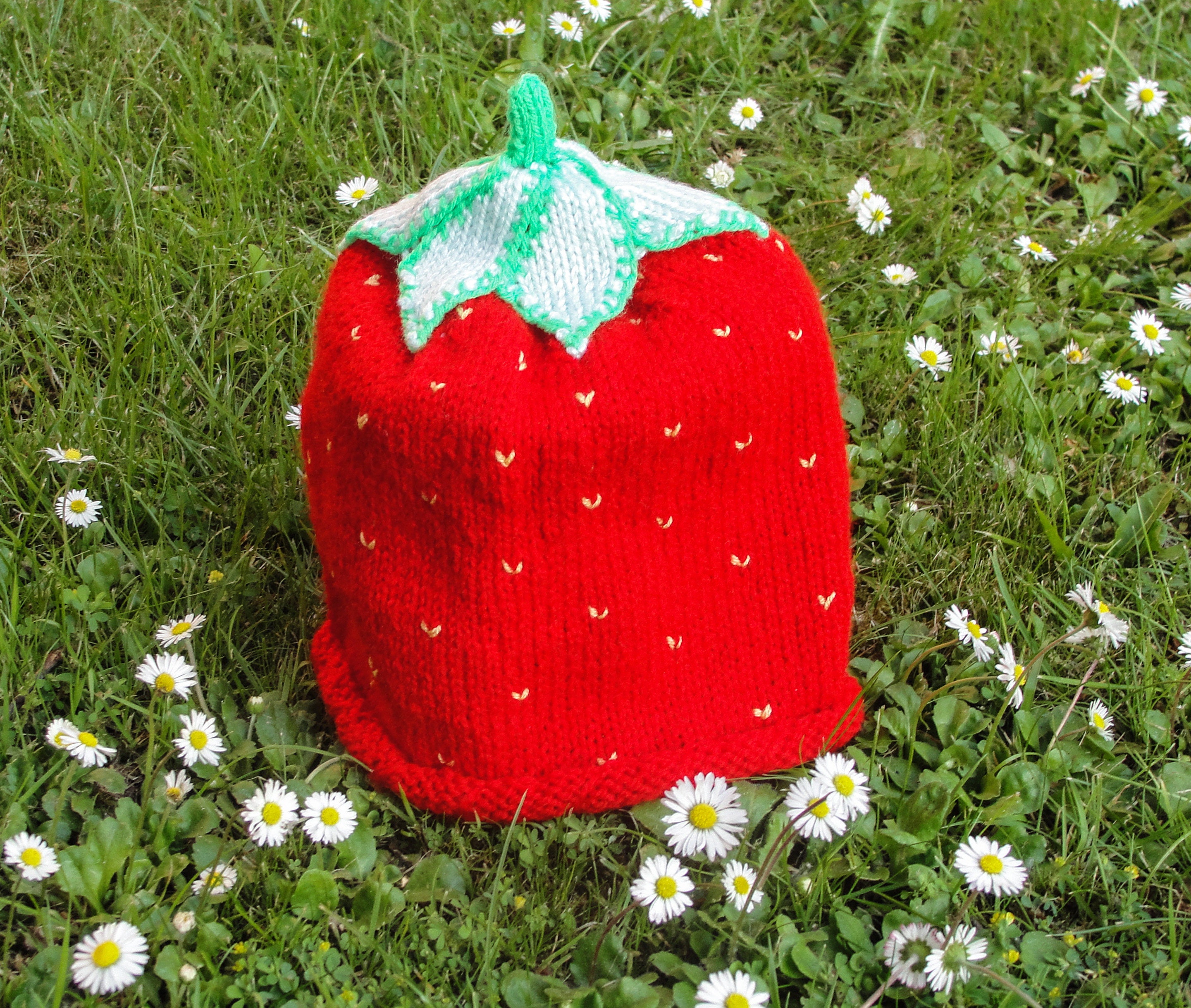 Hand Knitted Strawberry Hat Toddler Hat Knitted Warm Hat Etsy Canada