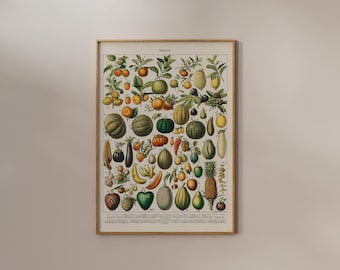 Adolphe Millot Print Vintage Fruits and Vegetables Antique Poster Botanical Botany Wall art Cottage Core Fall Decor Farmhouse Naturalist