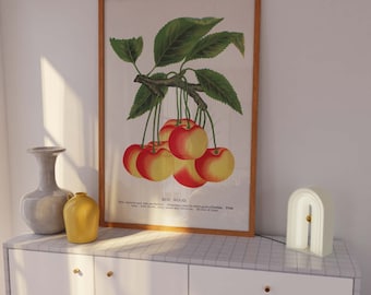 Wood Cherry Print Vintage Fruit Market Rainier Cherry illustration Poster Coquette Room Decor Food Retro kawaii Wall art Kitchen Fresh