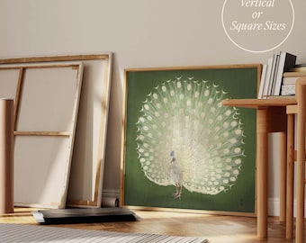 White Peacock Print | Frame option | Japanese Wall art, Giclée, Ohara Koson, Printed Asian Decor, Vintage Birds Poster, Square, Apartment