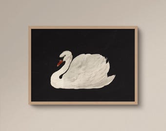 White Swan Print | Frame option | Black Background, Vintage Poster, Birds Painting, Apartment Decor, Horizontal / Vertical / Square Wall art
