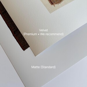 May include: A close-up of two framed art prints, one with a velvet finish and the other with a matte finish. The velvet print displays a section of a brown and red textile. The matte print is a white, standard finish.