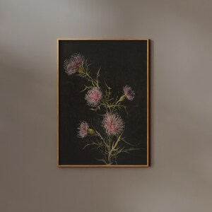 May include: A framed painting of a pink thistle flower on a black background. The flower is in bloom and has a delicate, intricate design.