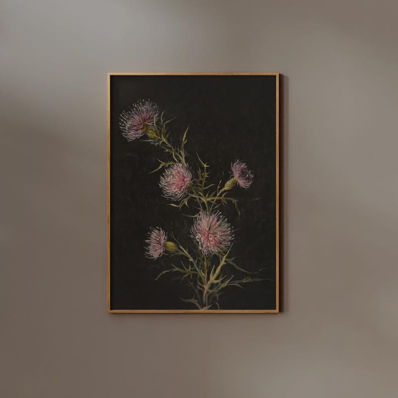 May include: A framed painting of a pink thistle flower on a black background. The flower is in bloom and has a delicate, intricate design.