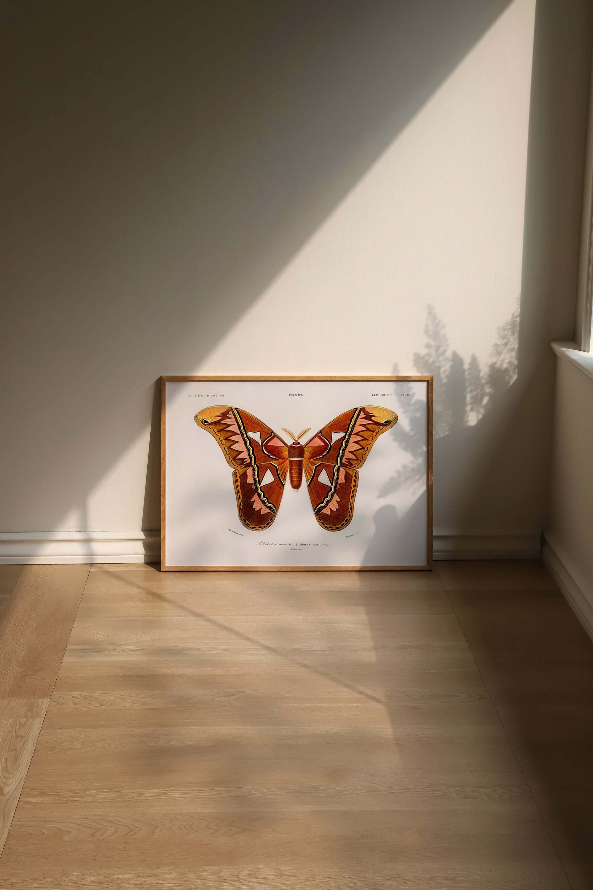 Butterfly Print | FRAME option | Vintage Poster Boho illustration Eclectic Wall art Nursery Room Decor Retro Aesthetic Office Minimalist