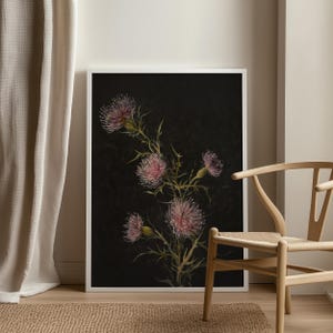 May include: A framed print of a botanical illustration featuring a pink thistle flower with a dark background.