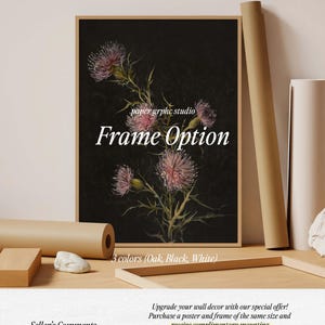 May include: A framed print of a botanical illustration of pink thistle flowers on a black background. The frame is available in oak, black, or white. The text "paper graphic studio" and "Frame Option" is visible on the print.