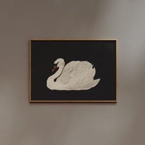 White Swan Print | Frame option | Black Background, Vintage Poster, Birds Painting, Apartment Decor, Horizontal / Vertical / Square Wall art