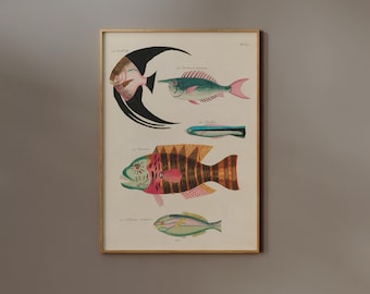 Vintage Fish Illustration Poster | Framed Option | Sea Life Wall Art, Colorful Marine Animal Art, Giclée Art Print, Coastal Bathroom Decor