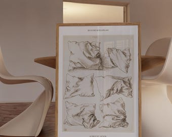 Albrecht Durer Sześć studiów poduszek Druk Pralnia Dekoracja Martwa natura Linia Sztuka ścienna Vintage Retro Północny Renesans Rysunek Plakat Antyk
