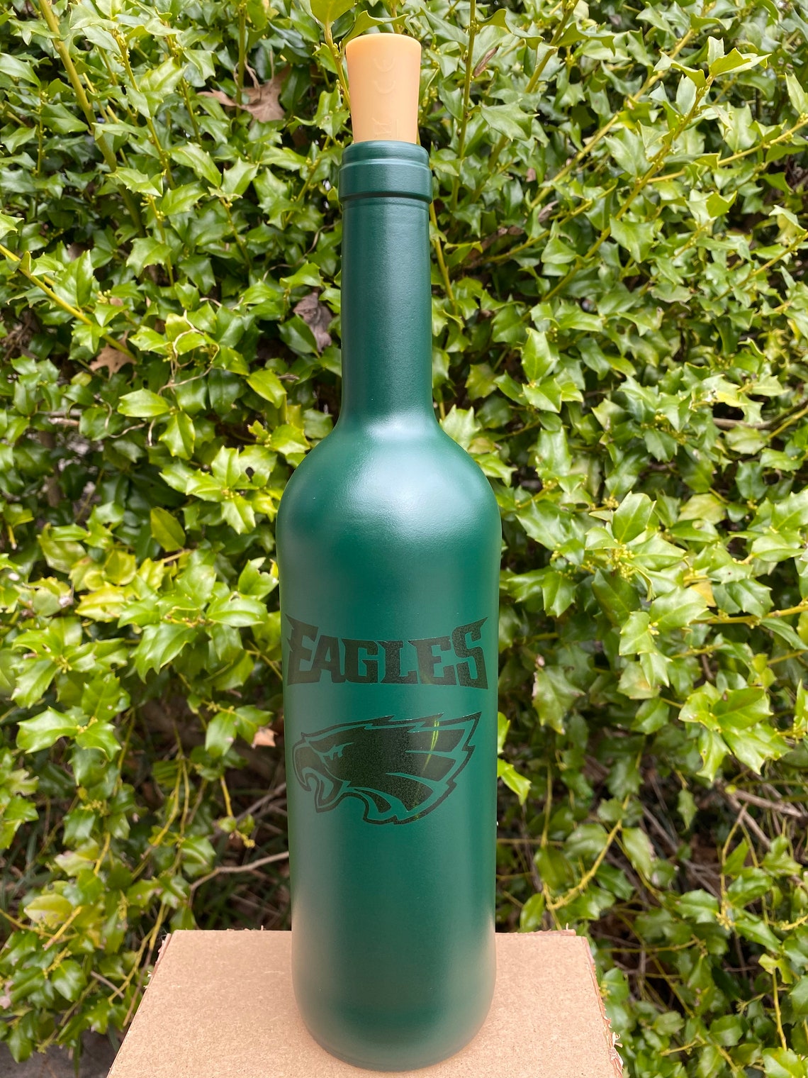 Philadelphia Eagles Wine Bottle with Cork Wired Lights NFL Etsy