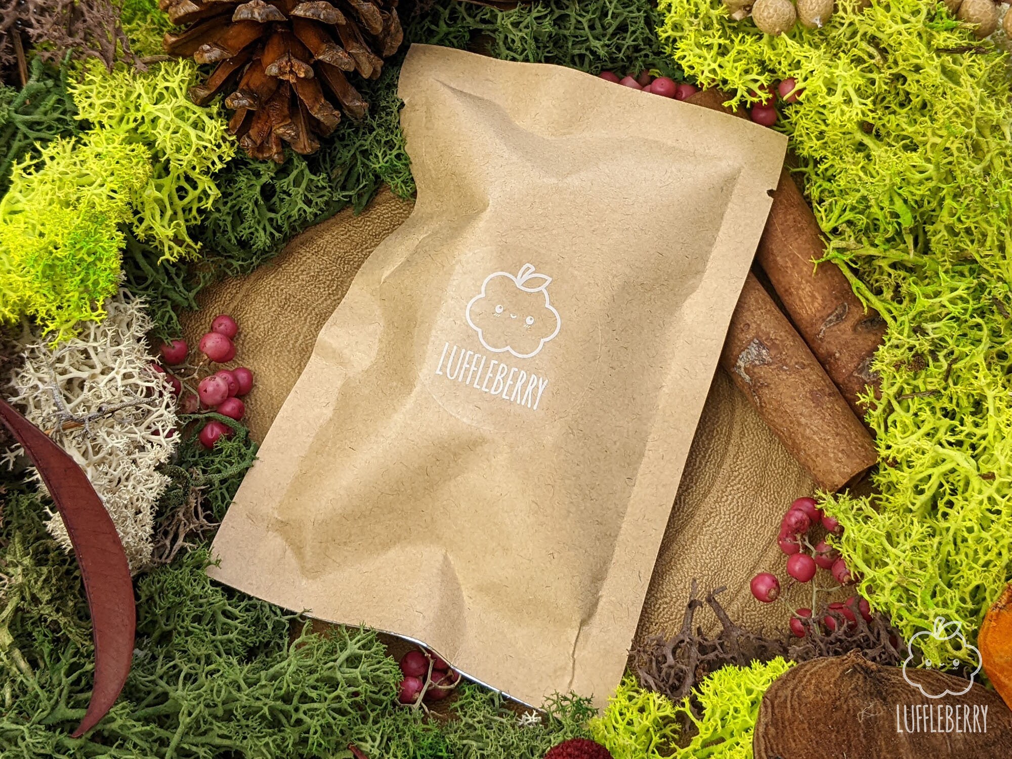 Dice of Questionable Taste D&D Joke Dice Gift Set 7 Piece Etsy UK