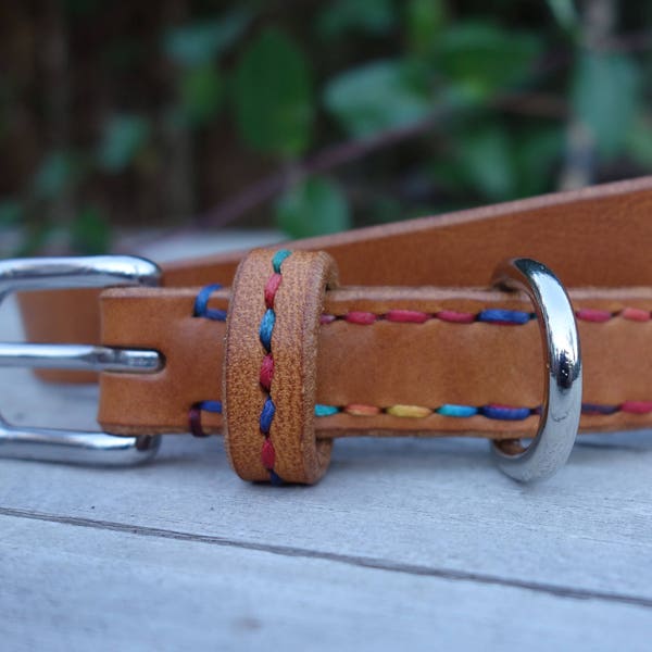 Bespoke Dog Collar - Custom size & Width - Rainbow Stitching - Unique - Pet Collar - Made to last - Italian Leather - Alchemist - UK Made