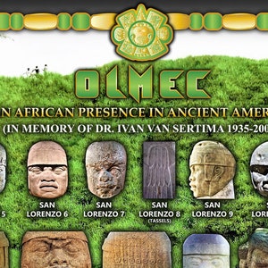May include: A collage of 24 Olmec heads, a Mesoamerican civilization, with the text "Olmec: An African Presence in Ancient America (In Memory of Dr. Ivan Van Sertima 1935-2009)" at the top. The heads are arranged in rows and labeled with their location and number. The background is a green grassy hill with palm trees.