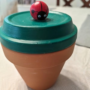 Garden Plant  Watering System Olla