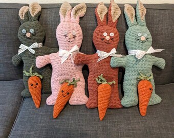 Bunny Rabbit with Carrot Friend Plush Stuffed Animal