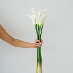May include: A bunch of white calla lilies with green stems and yellow tips. The flowers are held in a hand against a white backdrop. The calla lilies have a trumpet-like shape.