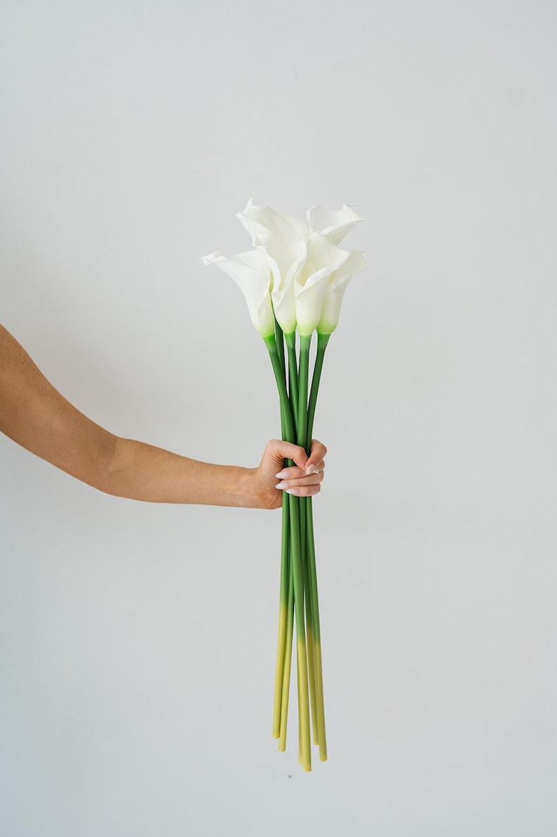 May include: A bunch of white calla lilies with green stems and yellow tips. The flowers are held in a hand against a white backdrop. The calla lilies have a trumpet-like shape.