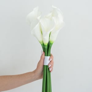 May include: A bouquet of white calla lilies with green stems, tied with a white ribbon. The flowers have a smooth, elegant appearance, and the stems are a vibrant green. The bouquet is held against a plain white background.