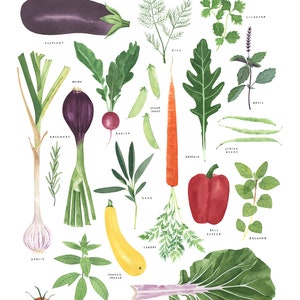 Hierbas y verduras gran cartel arte impresión / decoración de cocina de hierbas y verduras / hierbas y verduras de acuarela imagen 3