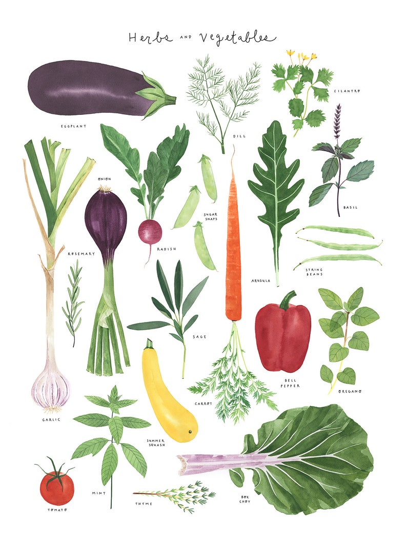 Herbs and Veggies Large Poster Art Print Herb and Veggie Kitchen Decor Watercolor Herbs and Veggies image 3