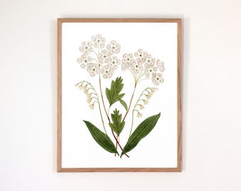 May Birth Flower Print | Watercolor Hawthorn + Lily of the Valley | Framed or Unframed Giclee Art Print