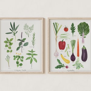 Pair of Herbs and Veggies Giclée Wall Art Prints | Herb and Veggie Kitchen Decor | Watercolor Herbs and Veggies