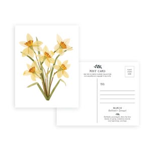 Conjunto de 12 postales con flores de nacimiento / Colección completa de acuarelas con flores de nacimiento