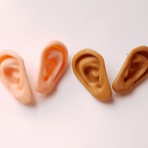 May include: Four pairs of realistic ear-shaped earrings. Two pairs are a light peach color and two pairs are a light brown color.