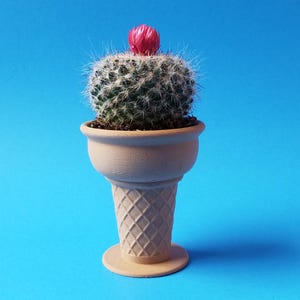 Mini Planter Ice Cream Cone, 3D Printed, Great for Succulents