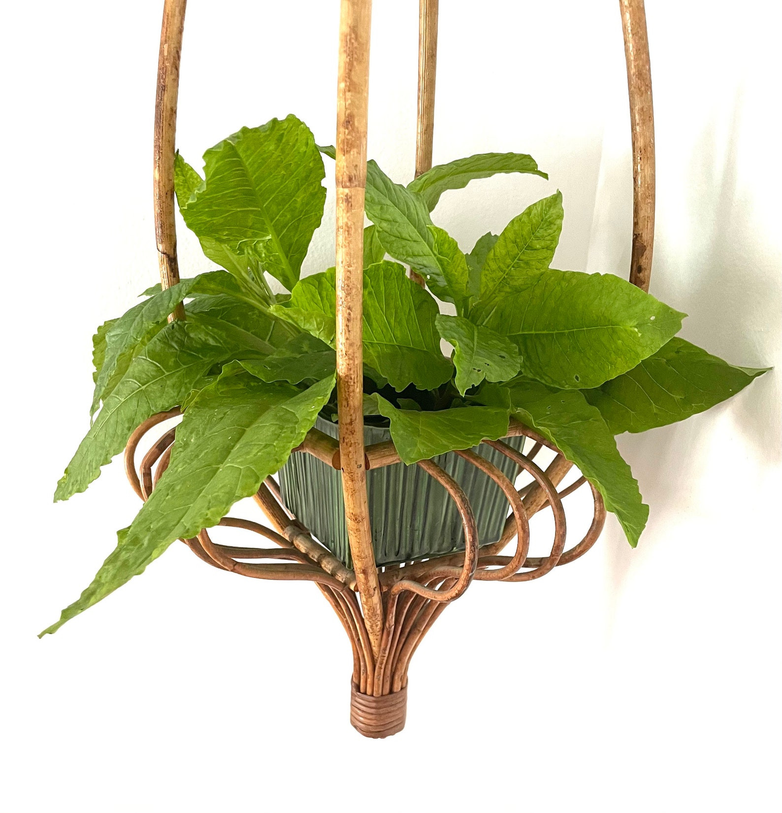 Vintage Rattan Plant Hanger Etsy