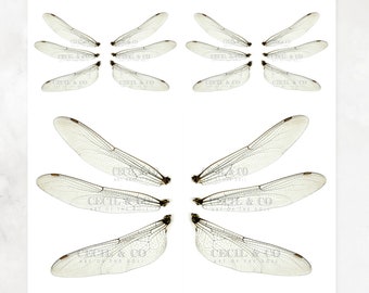 Digital Dragonfly Fairy Wings No. 166
