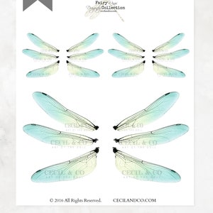 Digital Dragonfly Fairy Wings No. 164