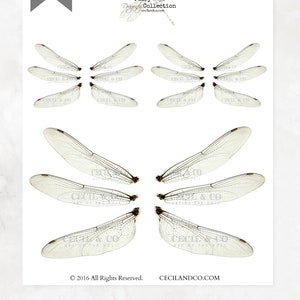 Digital Dragonfly Fairy Wings No. 166