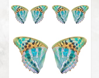 Digital Butterfly Fairy Wings No. 261
