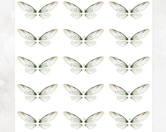 May include: A sheet of paper with multiple pairs of fairy wings. The wings are white with delicate vein details and green accents. The top of the sheet has text that reads "Cecil & Co. Fairy Wings Dragonfly Collection". The paper also has the text "© 2016 All Rights Reserved."