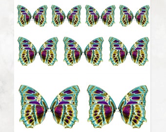 Digital Butterfly Fairy Wings No. 225