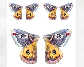 Digital Butterfly Fairy Wings No. 254