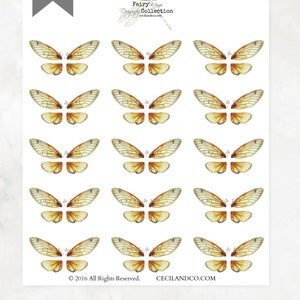 Digital Cicada Fairy Wings No. 322