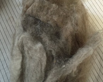 Shetland Sheep Cloud Batting