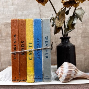 May include: Five vintage paperback books with colourful covers and titles including "Wild Animals", "Birds", "Cars", "Aircraft", and "Weather". The books are stacked and tied together with twine. The books are sitting on a table with a seashell and a vase of dried flowers.