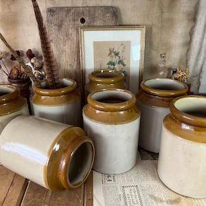 May include: A selection of vintage stoneware jars, featuring a two-tone colour scheme. The jars have a pale beige base with a brown rim and band. Some are upright, others on their sides. The background includes a framed botanical print and a wooden chopping board.