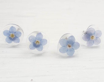 Vergissmeinnicht Blumen Harz Ohrstecker: Sterling Silber