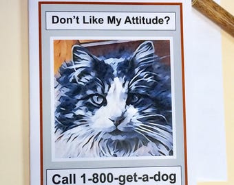 Funny Cat Card for Friend, Funny Cat Lover Card, Don't Like My Attitude